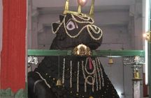 Bangalore city tour with a guide in private car and lunch