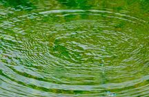 Private Goa tour of ancient rock art, laterite cave and bubble lake with lunch