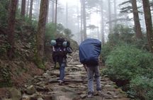 Hiking Day Tour to Triund from Dharamshala
