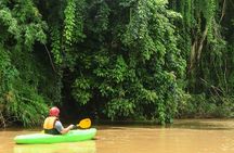 No.1 Full-Day Chiang Mai Caving & Jungle Kayaking: Chiang Dao