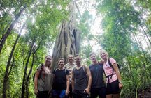 Chiang Mai: Doi Suthep Summit Trek – 7 Hour Pure Hiking Adventure