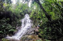 Chiang Mai: Doi Suthep Summit Trek – 7 Hour Pure Hiking Adventure