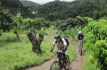 No.1 Chiang Mai: Advanced XC Downhill Biking, Doi Suthep N. Park