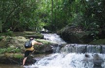 Chiang mai Hike & Downhill Bike Adventure –Suthep National Park