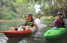 Chiang Mai : Kayak the Jungle Rivers of Chiang Dao Valley!