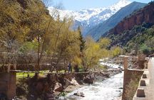 Private Day Trip From Marrakech To Ourika Valley Waterfalls in (All inclusive) 