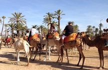 Quad Bike and Camel Ride Full-Day Tour from Marrakech