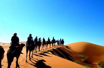 Ouarzazate To Erg Chegaga Dunes & Camel treks in 2 Days 