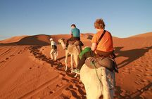 Day Trip to Erg Chigaga Dunes from Zagora 