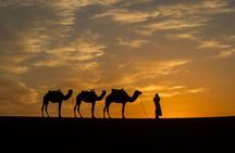 Marrakech to Fes desert tour 3 days & Camel trek (All-inclusive)