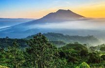 All-inclusive 6 Days Bali Sightseeing Tour