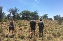 Half Day Safari Tour from Johannesburg