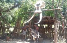 Lesedi Cultural Village Tour