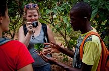 Spices and Stone Town Tour in Zanzibar