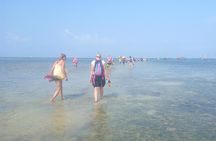Kwale Island Dhow Sailing Tour from Zanzibar with Seafood Lunch