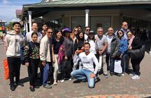 Private Car Mt Fuji and Gotemba Outlet in One Day from Tokyo