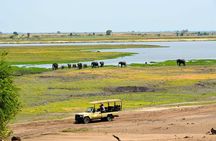 Chobe National Park Game Drive, Botswana