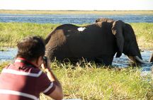 Chobe River Game Cruise