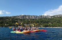 Half-Day Split Sea Kayak Adventure