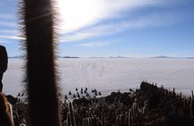 Day Trip to Uyuni Salt Flats
