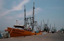 Tlacotalpan World Heritage Site and Alvarado Day Trip