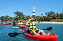 Live a Kayak Experience