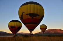 Hot Air Balloon Safari at Pilanesberg National Park