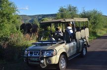 3-Hour Private Game Drive of Pilanesberg National Park