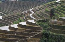 Longji Rice Terraces with the Dazhai Cable Car Private Day Tour