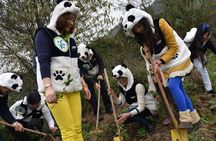 1-Day Dujiangyan Panda Base Volunteer Program Tour from Chengdu