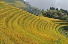 2 Day Longsheng Hot Spring Private Tour Combo Package
