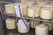 Discover the Art of Idiazabal Cheese in the Basque Country