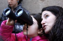 Kids & Family Private Guided Dragon Tour in Barcelona