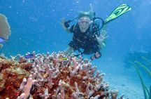 Discover Fajardo: 2-Tank Scuba Diving 