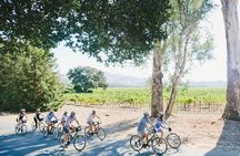 Full-Day Napa Valley E-Bike Tour with Picnic Lunch