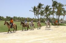 Small-Group Half-Day Horseback Riding Tour from Punta Cana