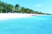 Saona Island Full-Day Cruise, Natural Pool and Lunch