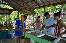 Cultural Safari Tour from Punta Cana