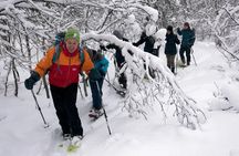 Guided Snowshoe Walk on Tromsoya Island in Tromso