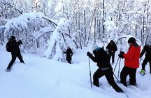 Guided Snowshoe Walk on Tromsoya Island in Tromso