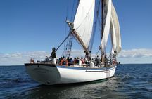 Windjammer Classic Day Sail from Camden, Maine