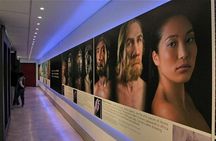 Cradle of Humankind and Lion and Safari Park Tour from Johannesburg or Pretoria