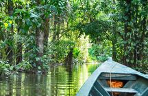 3 days 2 nights - Tambopata Jungle