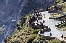 Fullday Colca Canyon with lunch from Arequipa