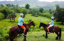 Shore Excursion: Ride N Zip Adventure