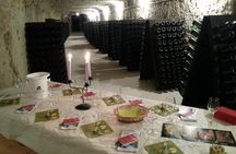 Tour of a Vineyard, Winery & Cellar with Wine Tasting in Vouvray, Loire Valley