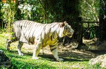 Cebu Safari and Adventure Park