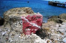 Discover Diving in Curacao