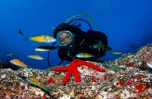 Scuba Diving Baptism in Caleta de Fuste