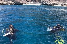 Scuba Diving Baptism in La Restinga